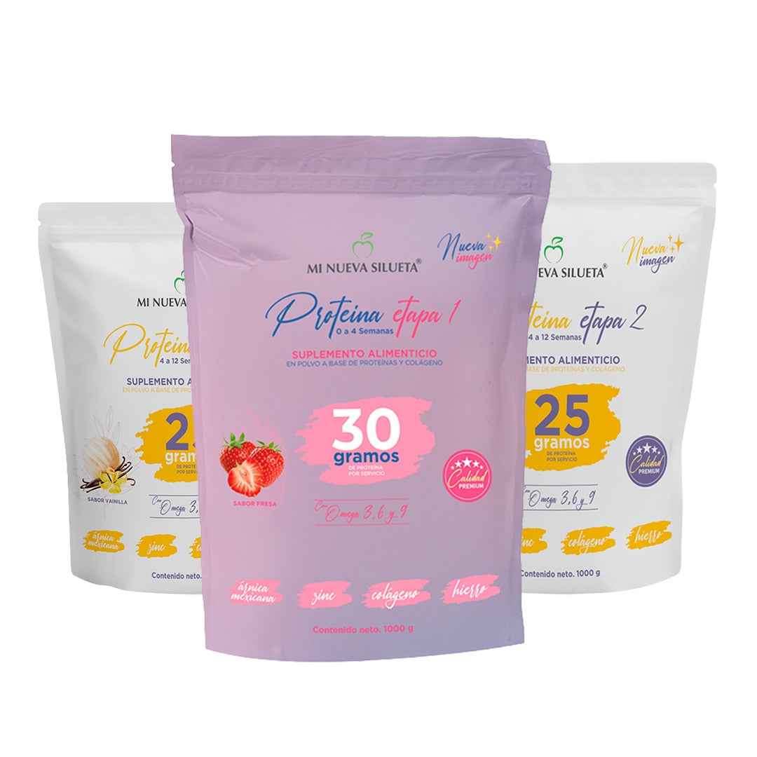 KIT COMPLETO DE PROTEINAS