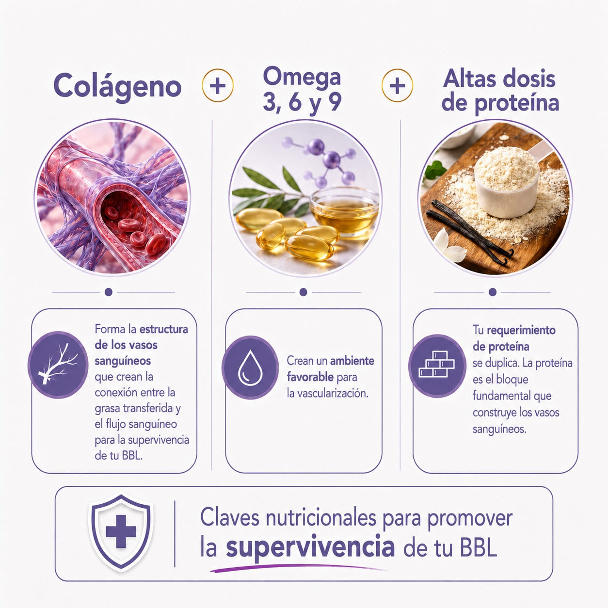 Protein Stage 1 Low Carbs
